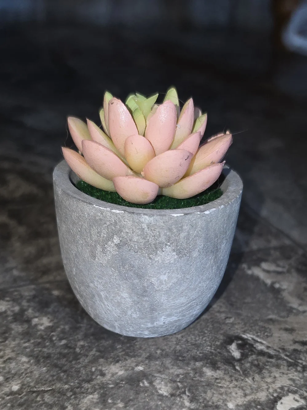 Artificial Pink & Yellow Succulent In Mini Gray Cement Planter BNIB